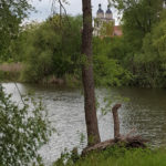 Stadtkirche St. Marien Wittenberg