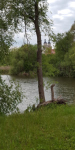 Stadtkirche St. Marien Wittenberg