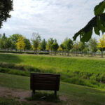 Luthergarten Blick Richtung Süden