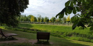 Luthergarten Blick Richtung Süden